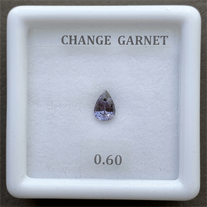 Advanced Quality Gemstones COLOR CHANGE GARNET